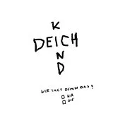 Deichkind LP (analog) Wer Sagt Denn Das? (2lp)