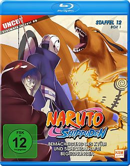 Naruto Shippuden - Staffel 12: Folge 463-480 Blu-ray