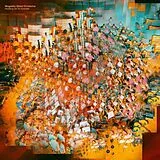 Magnetic Ghost Orchestra, gatefold Vinyl Magnetic Ghost Orchestra