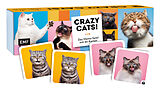 Memo-Spiel: Crazy cats! Spiel
