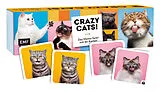 Memo-Spiel: Crazy cats! Spiel