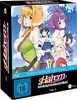 Harem in the Labyrinth of Another World - Vol. 1 Blu-ray