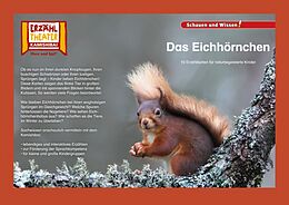 Set mit div. Artikeln (Set) Das Eichhörnchen / Kamishibai Bildkarten von Insa Janssen