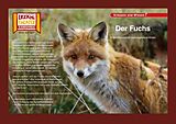 Set mit div. Artikeln (Set) Der Fuchs / Kamishibai Bildkarten von 
