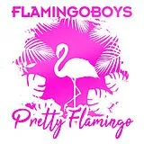 Flamingoboys CD Pretty Flamingo