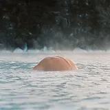 Olmo LP (analog) Olmo-the Trunk (lp)