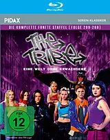The Tribe - Staffel 5 Blu-Ray Disc