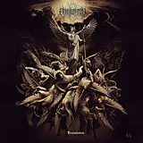 Permutation Vinyl Transience (lp Marbled)