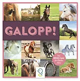 Galopp! (Spiel) Spiel