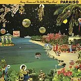 Haruomi Hosono Vinyl Paraiso