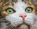 Diamond Painting Katze mit grünen Augen Spiel
