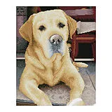 DIAMOND DOTZ - Diamond Painting Labrador Spiel