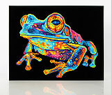DIAMOND DOTZ - Diamond Painting Neon Baumfrosch Spiel