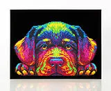 DIAMOND DOTZ - Diamond Painting Neon Hundewelpen Spiel
