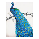 Diamond Dotz Blauer Pfau Spiel