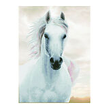 Diamond Dotz Pferd weiss Spiel
