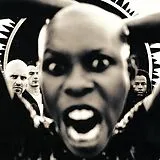 Skunk Anansie Vinyl Stoosh