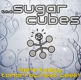 Sugarcubes Vinyl Here Today, Tomorrow Next Week (Direct Metal Mastering) (Vinyl)