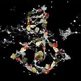 Bjork CD Biophilia