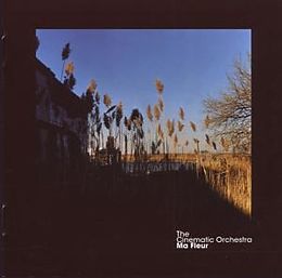 The Cinematic Orchestra CD Ma Fleur