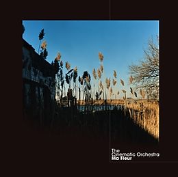 Cinematic Orchestra,The Vinyl Ma Fleur (deluxe Vinyl+mp3)