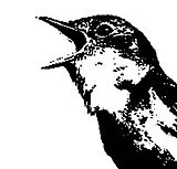 Various CD Nightingale Variations