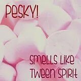 Pesky! CD Smells Like Tween Spirit