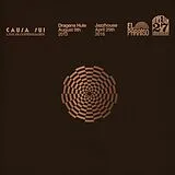 Causa Sui Vinyl Live In Copenhagen