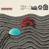 Videodrones LP (analog) After The Fall
