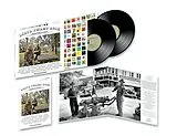 Various LP (analog) Delta Swamp Rock - Sounds Of The South: At The Cro