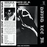David Lee Jr LP (analog) Evolution (magenta)