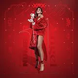 Charli Xcx Vinyl Number 1 Angel