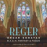 Adriano Falcioni CD Organ Sonatas