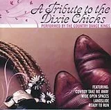 The Country Dance Kings CD Tribute To The Dixie Chicks