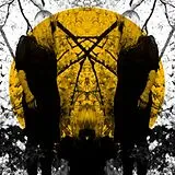Austra Vinyl Feel It Break (Vinyl+Mp3)