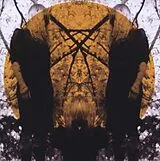Austra CD Feel It Break