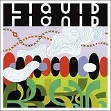 Liquid Liquid CD Slip In And Out Of Phenomenon
