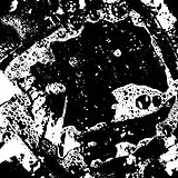 Biome Maxi Single (analog) Griddled Ep