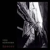 Horikawa,Yosi Vinyl Spaces