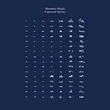 Mammal Hands CD Captured Spirits
