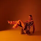 Allysha Joy LP (analog) The Making Of Silk