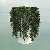 Errors Vinyl Lease Of Life (2lp White Vinyl)