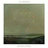Ilya Beshevli LP (analog) Primary Source Ep