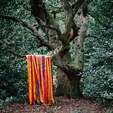 James Holden & The Animal Spir CD The Animal Spirits