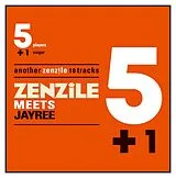 Zenzile Vinyl 5+1 Meets Jay Ree