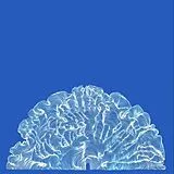 Leafcutter John Vinyl Yes! Come Parade With Us (Ltd.LP)
