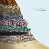 Ruud Voesten CD Ambrosia Ii