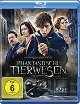 Phantastische Tierwesen und wo sie zu finden sind Blu-ray
