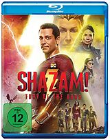 Shazam! Fury Of The Gods Bd Blu-ray