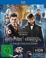Wizarding World Blu-ray